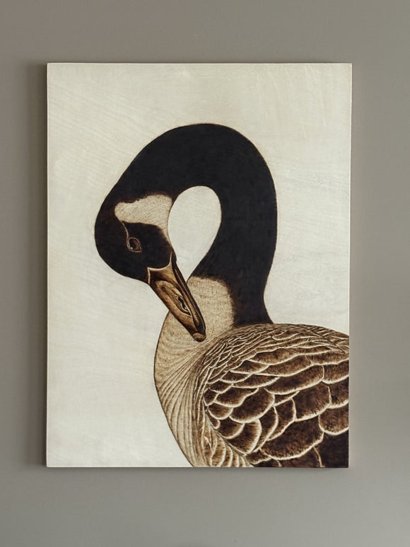 Canada Goose