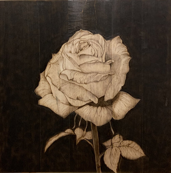 White Rose