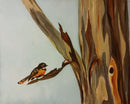 Eucalyptus Song-1