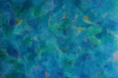 Abrolhos-1