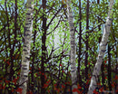The Old Hiking Trail-1