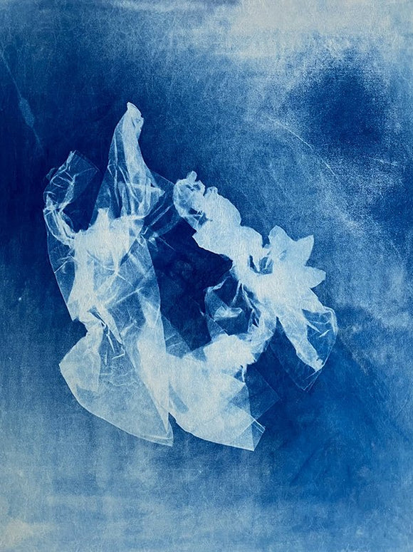 Apparition 0033