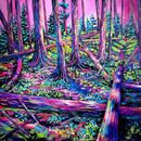 Where the Forest Begins Again-1