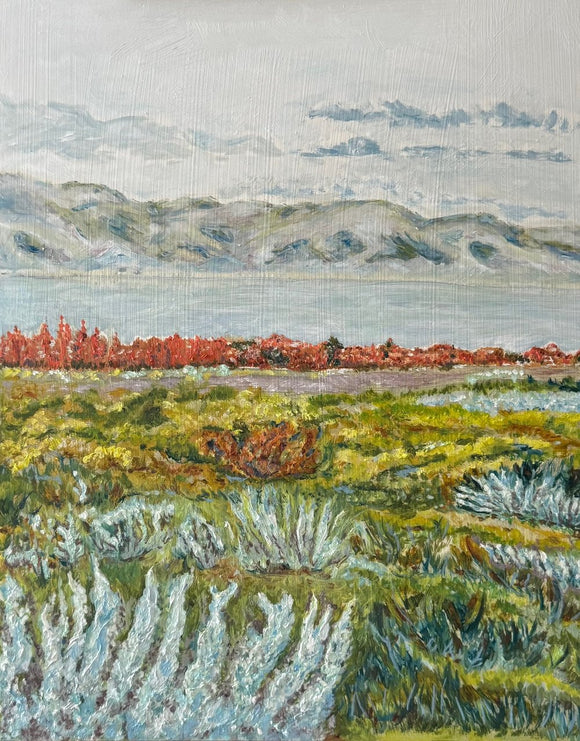 Hidden Valley Ranch 4