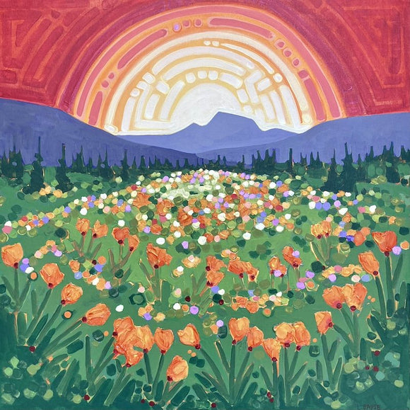 Summer Fields of Possibility