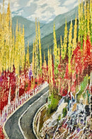 Hunza Valley-1