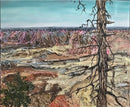 The Canyon-1