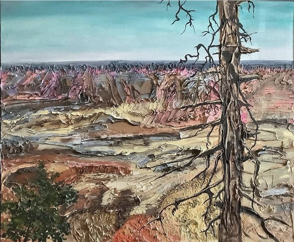 The Canyon