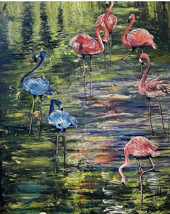 Flamingos