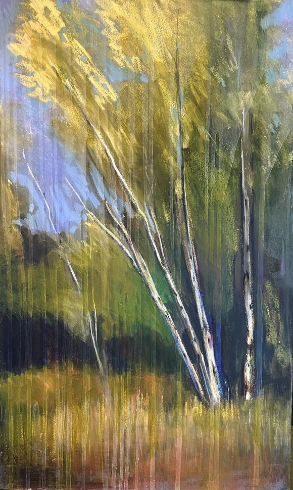 Birch Tree Hike