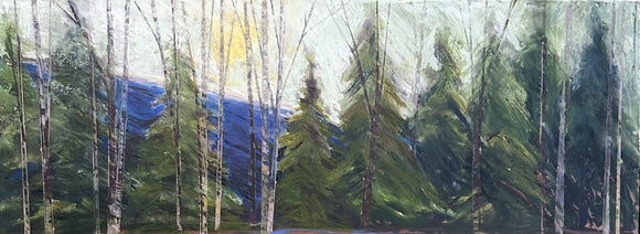 North Shore Pine Trail