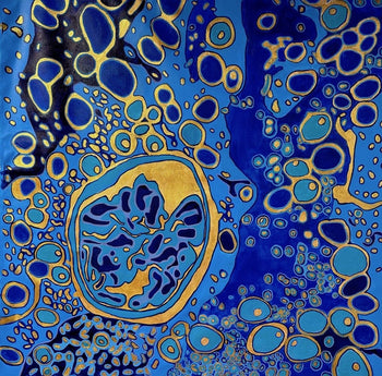 Jody Rasch