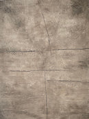Lost Inscriptions-1