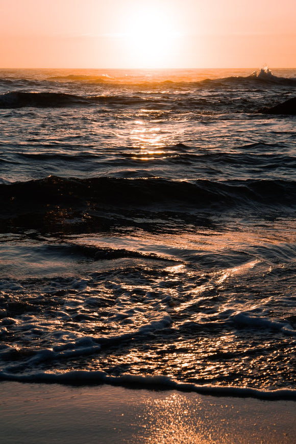 Be One with Nature - Golden Hour