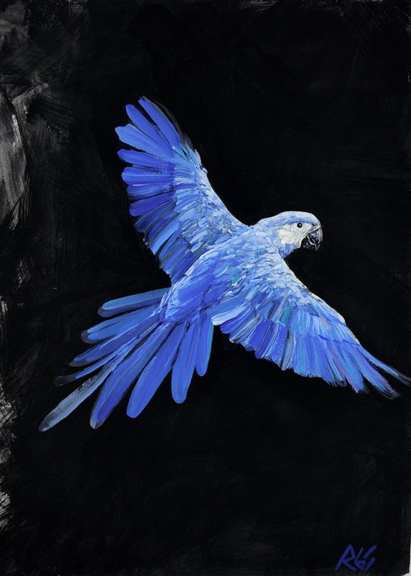 Ararinha Azul