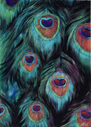 Peacock Feathers-1