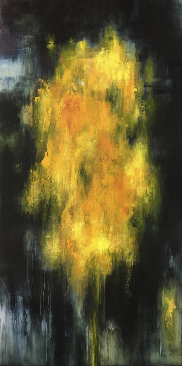 Emerging from Darkness