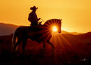 Vaquero-1