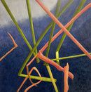 Skyward Series - #1-1