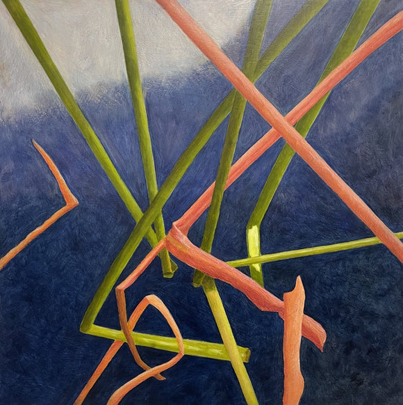 Skyward Series - #1
