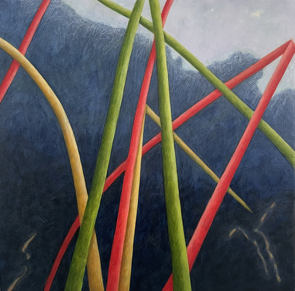 Skyward Series #4