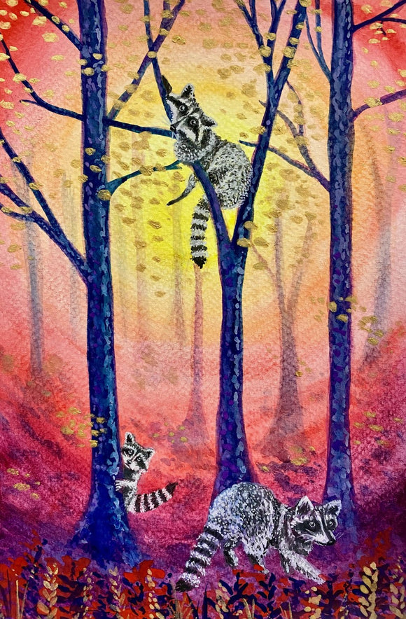 Raccoon Family