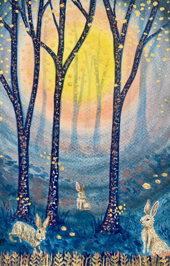 Woodland Hare