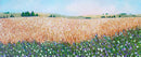 Dreams on the Horizon-1