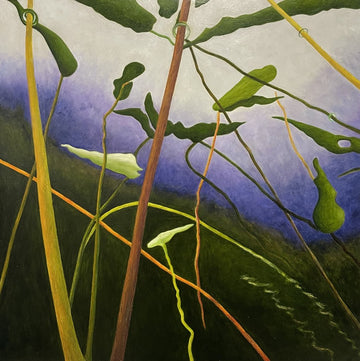 Deep-rooted Series #11