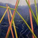 Skyward Series - #2-1