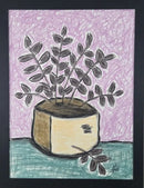 Eucalyptus-1