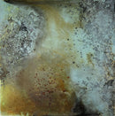Crucible of Light-1