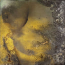 Chrysopoeia-1