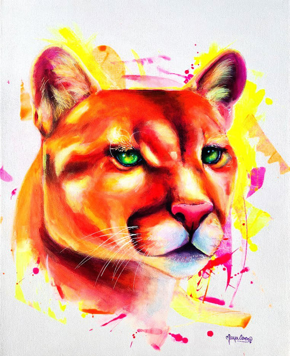 Omar the Cougar