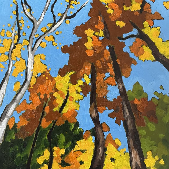 Autumn Sketch