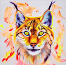 Silas the Bobcat-1