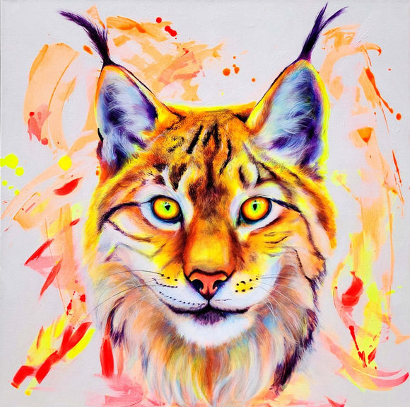 Silas the Bobcat