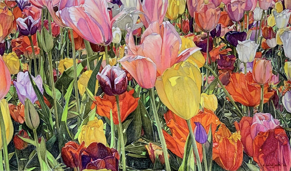 Tulip Fest
