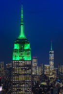 Two most famous landmarks of Manhattan. Empire State Building and 1 World Trade Center-1