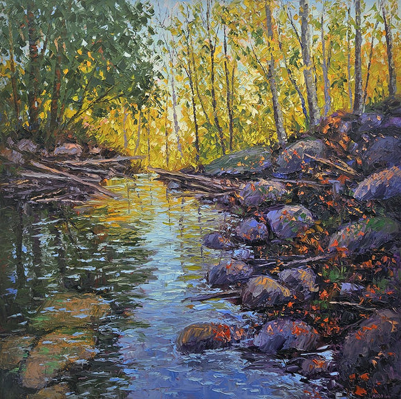 Forest Creek