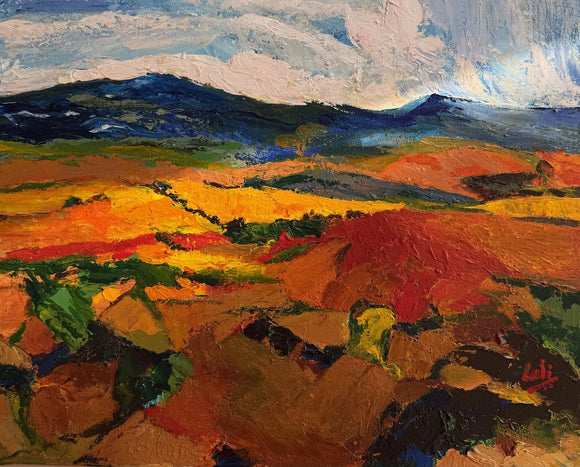 Aerial view of fall colors