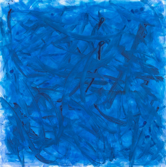 THE CERULEAN WHISPERS OF HYACINTH MACAUS