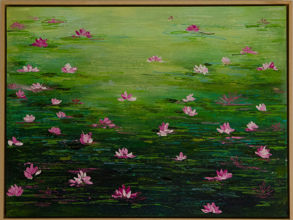 Water Lily