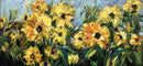 Forever Fields-1