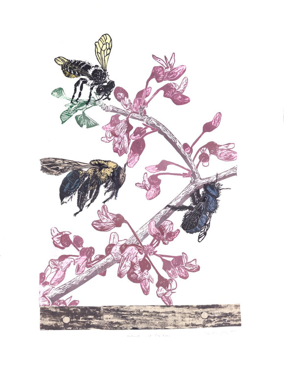 Redbud and the Bees