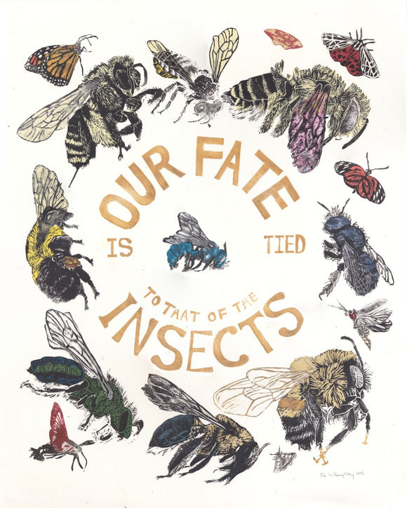 Our Fate is Tied To That of the Insects