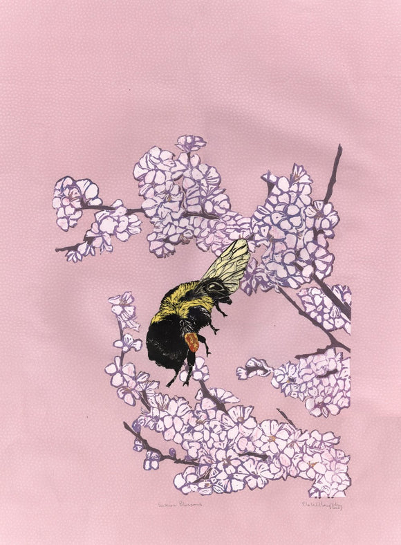 Sakura Blossoms