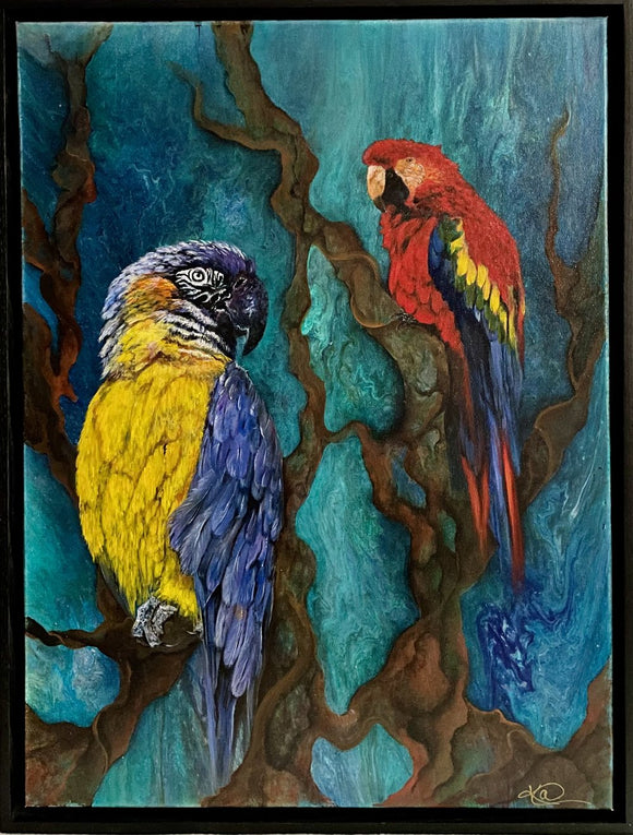 Birds of Paradise