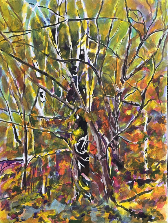Hiding in the Trees