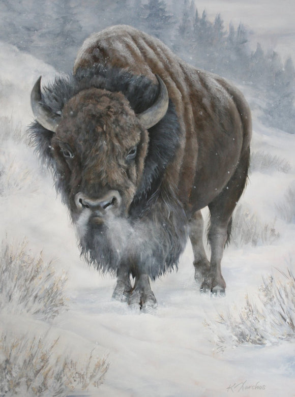 Spirit of the North
